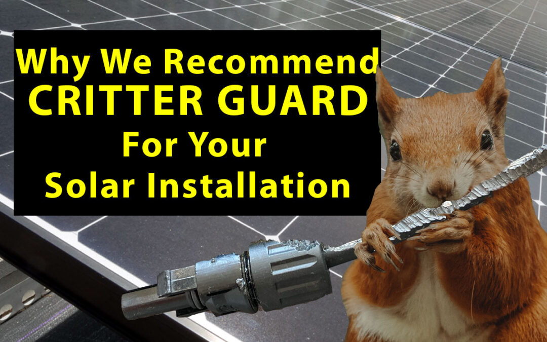 Why We Recommend Critter Guard for Your Solar Installation